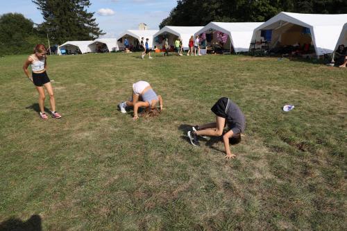Mensch ärgere dich nicht