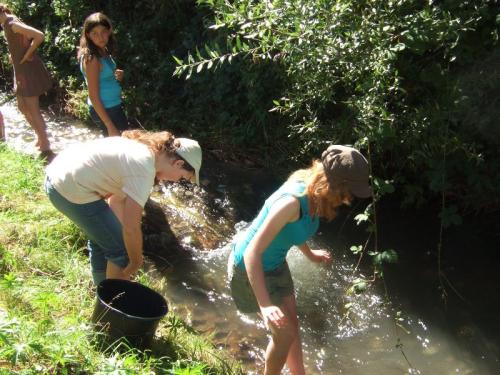 20070806 1381483997 asidscf1381