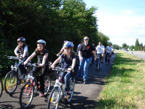 20080605 1139992136 asidsc04077