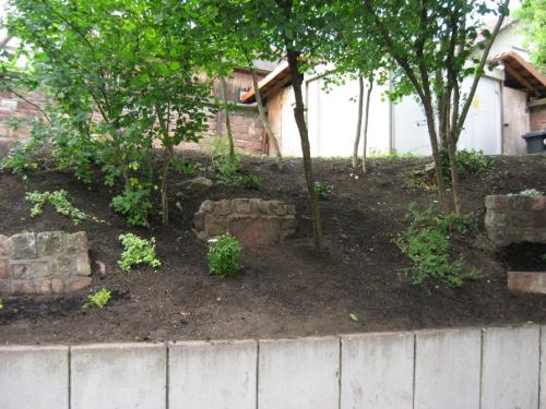 20080607 1846086703 asiimg 0426