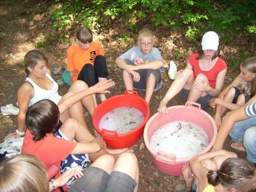 20080731 1363985137 waldlaeuferspiel3