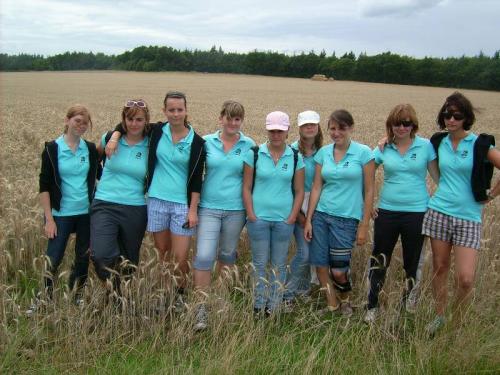 20080803 2077330884 risiko12