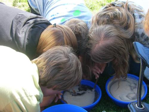 20080807 2035719360 europoly1