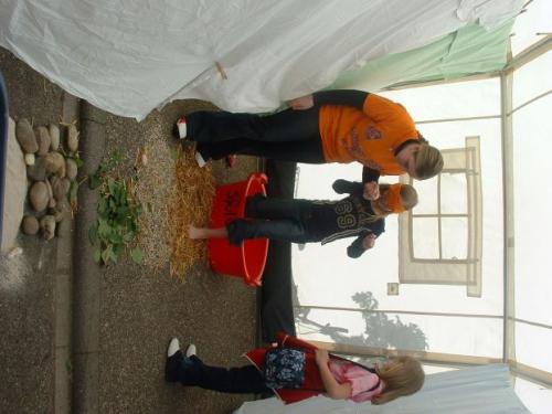 imp 215 20070302 1563684486