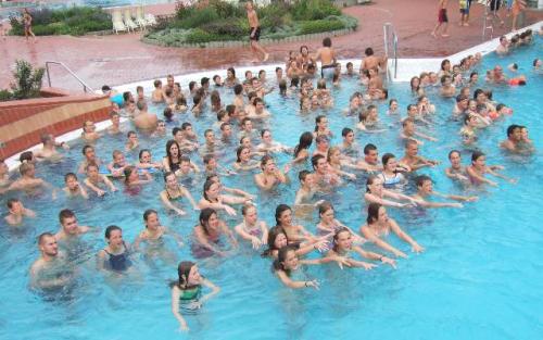 imp 419 20070302 1768952541