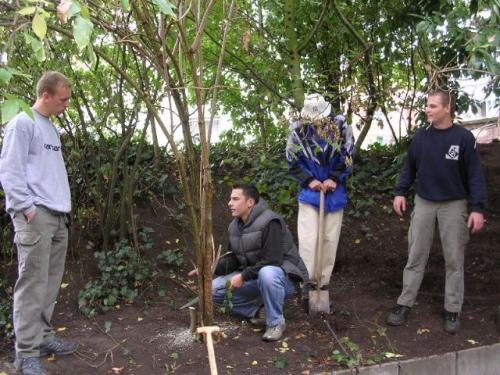 imp 432 20070302 1792977871