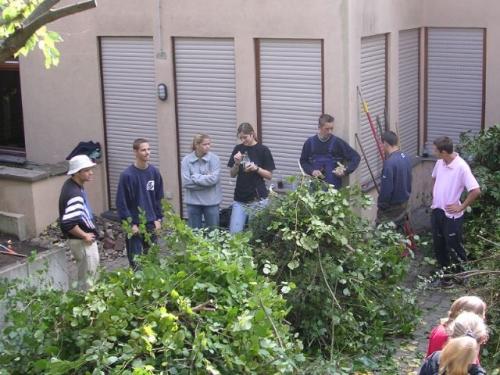 imp 436 20070302 1207535528