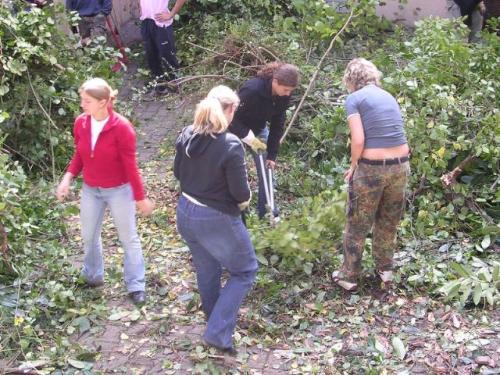 imp 437 20070302 2072657691