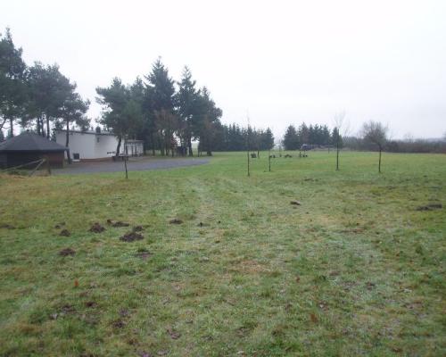 imp 463 20070302 2094146731