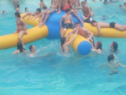 imp 490 20070302 1423862869